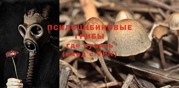 ALPHA PVP Козловка