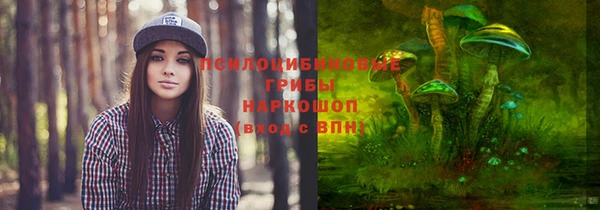прущая мука Кодинск