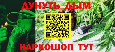 сатива Гатчина