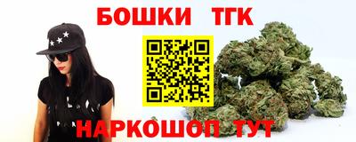 ешки Гай