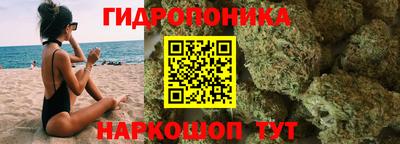 ешки Гай