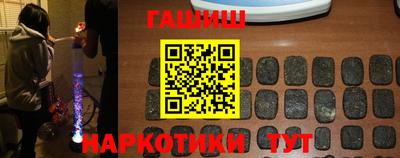 сатива Гатчина