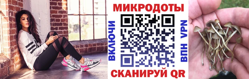 наркошоп  Гуково  Псилоцибиновые грибы Cubensis 