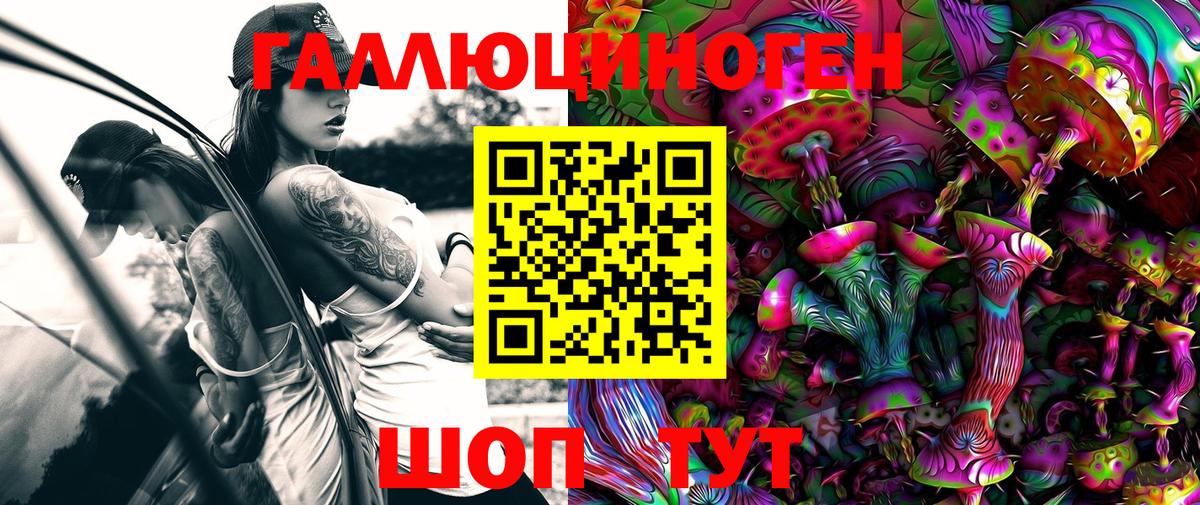 Галлюциногенные грибы мицелий  Псилоцибиновые грибы Cubensis  Гуково 