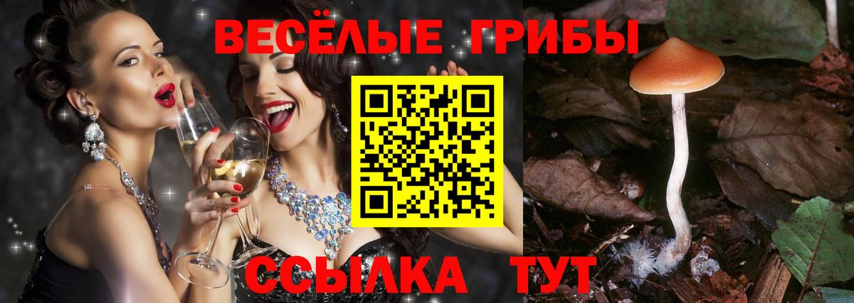 Галлюциногенные грибы Psilocybine cubensis  Вход с VPN  дарнет шоп  Галлюциногенные грибы Psilocybine cubensis  Гуково 