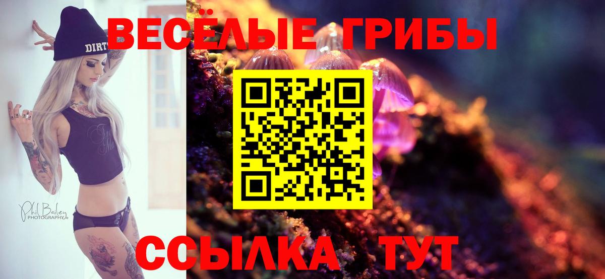Псилоцибиновые грибы мицелий Гуково